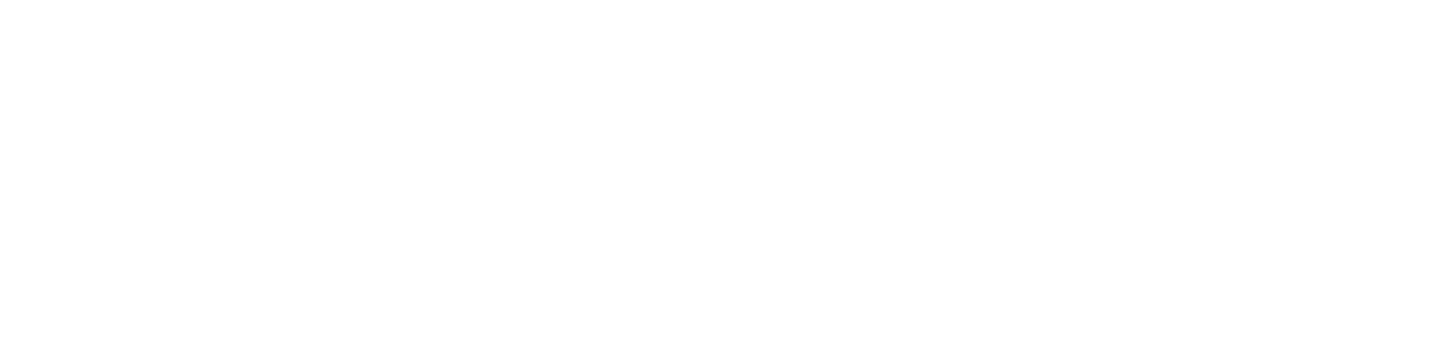 Diplomado Auxiliar 1